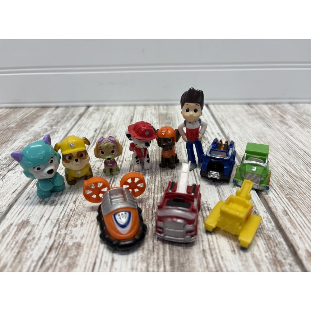 Paw Patrol Action Figures Lot of 11 Mixed Figurines